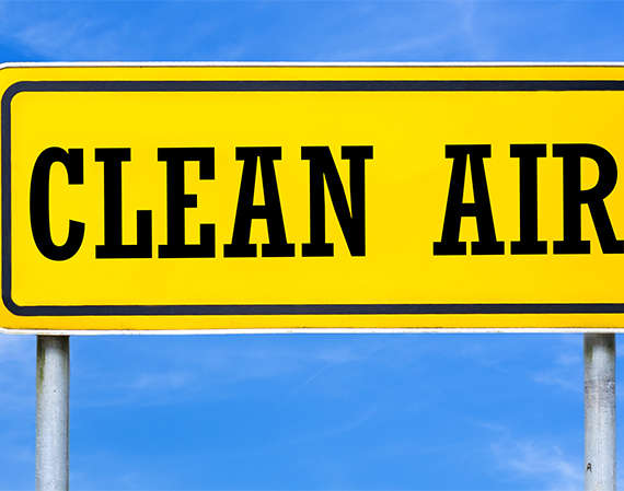 Air Purifiers provide clean air